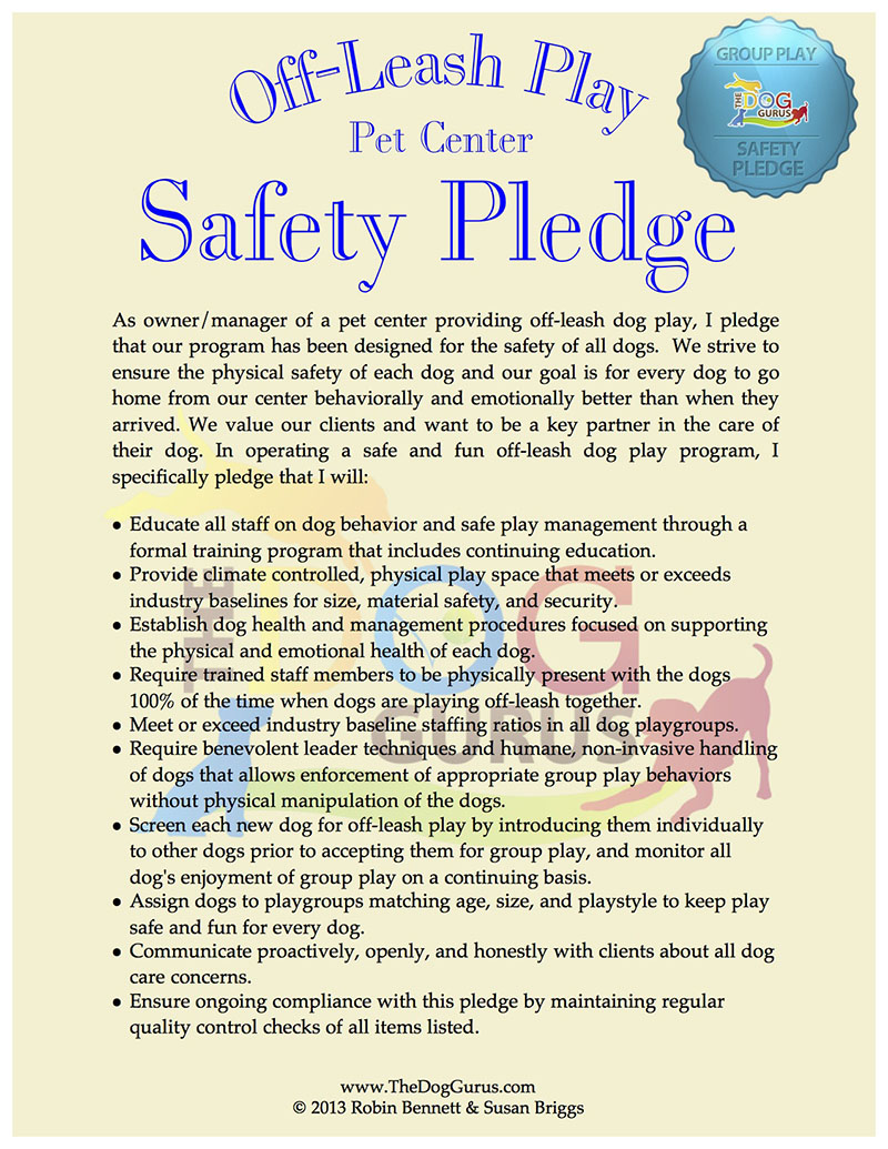 safety pledge